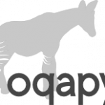 Oqapy logo