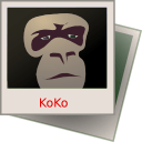 Редактирование изображений в программе Koko