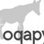 Oqapy logo