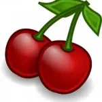 CherryTree logo