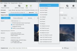 HandBrake. Предустановки