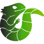 Midori browser logo
