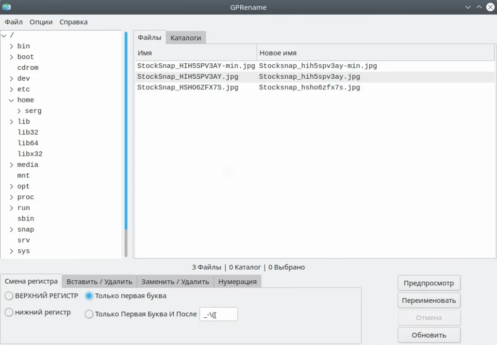 GPRename. Смена регистра. Предпросмотр