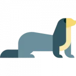 Norka markdown editor logo