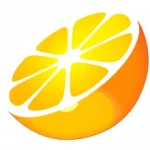 Citra logo