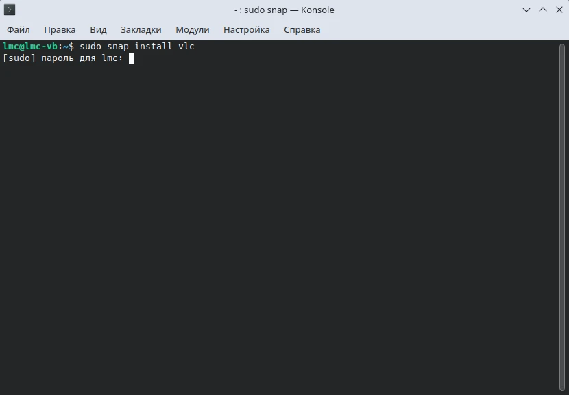 Установка ПО через Snap. Вставка команды для установки программы. Ввод пароля