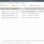 Выпуск PeaZip 10.1.0
