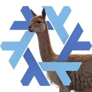 NixOS 24.11 Vicuna