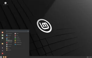 Рабочий стол дистрибутива Linux Mint 22 Wilma