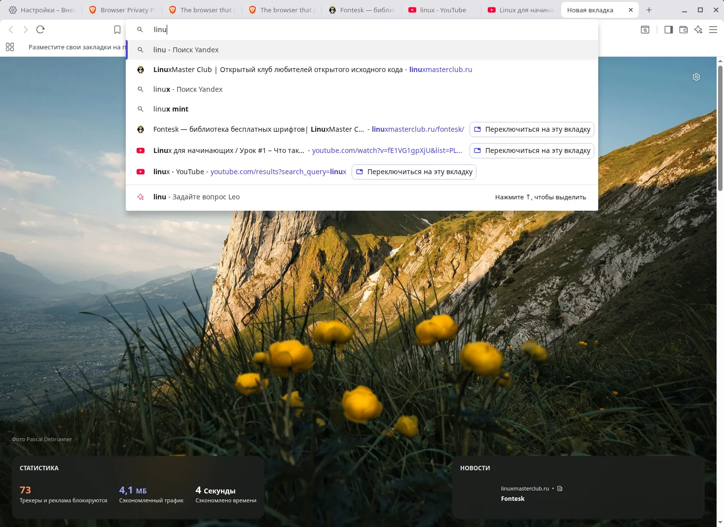 Brave Browser. Предложения в адресной строке