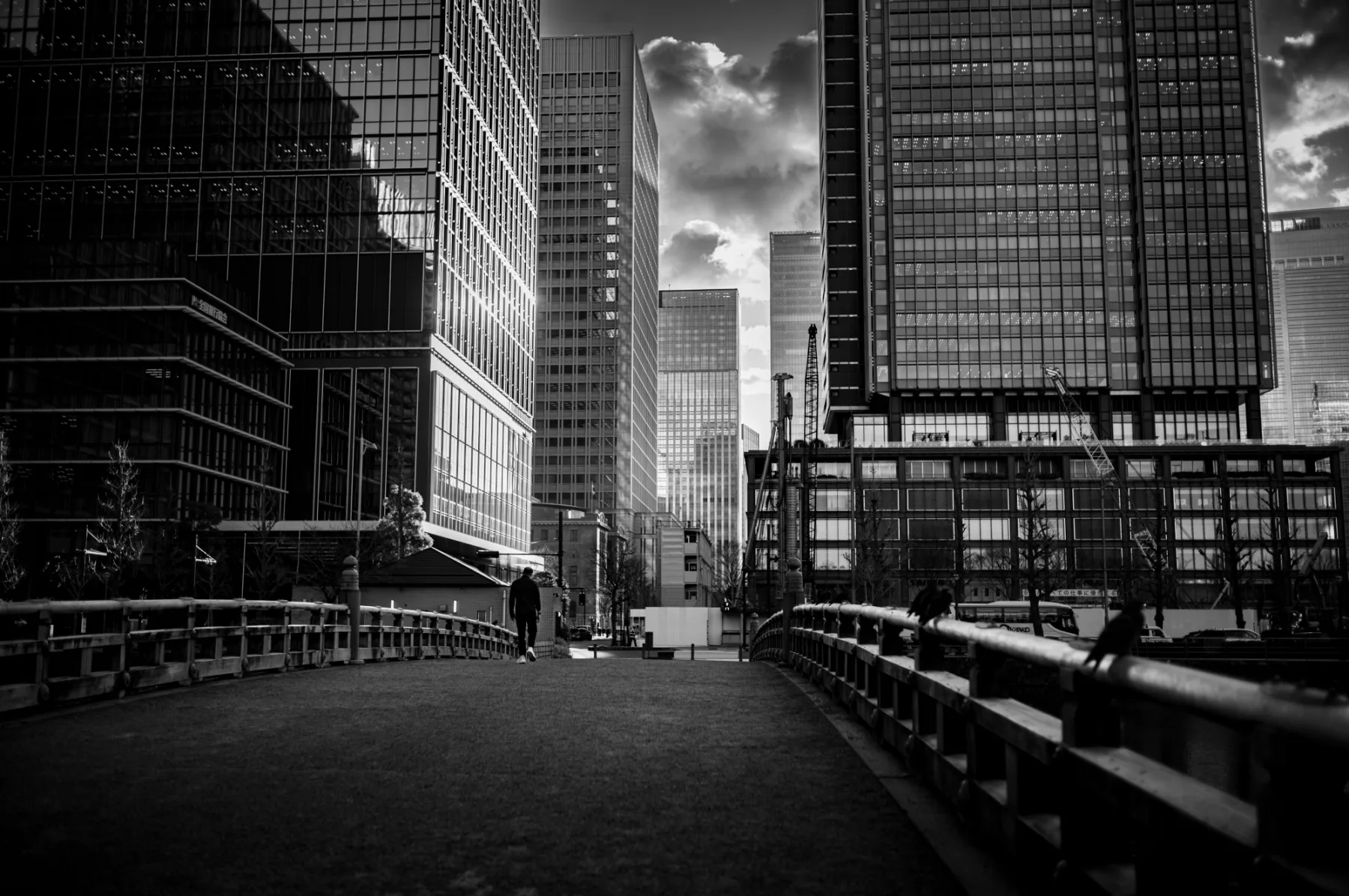 Life of Pix. Фотография 2