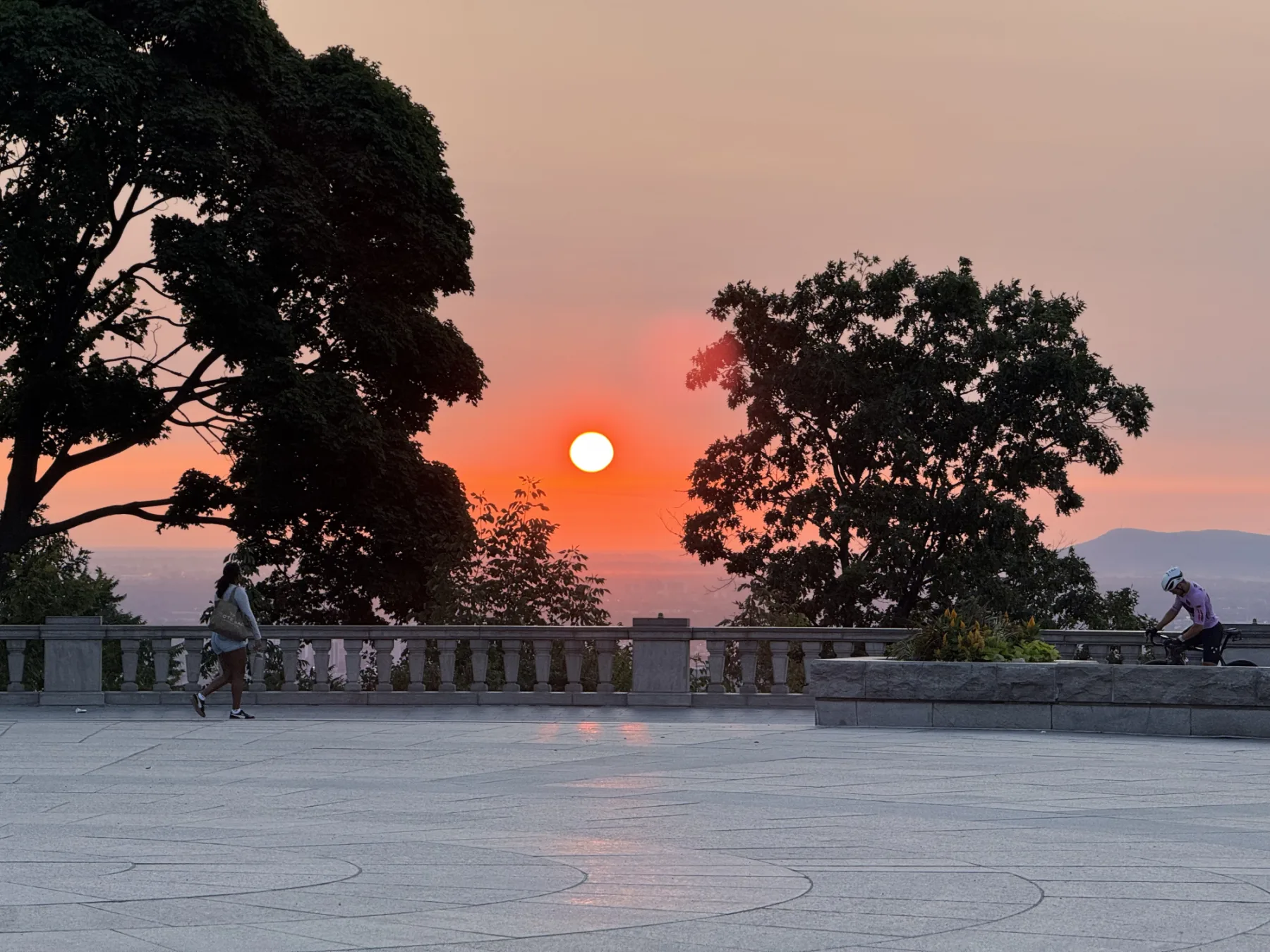 Life of Pix. Фотография 3