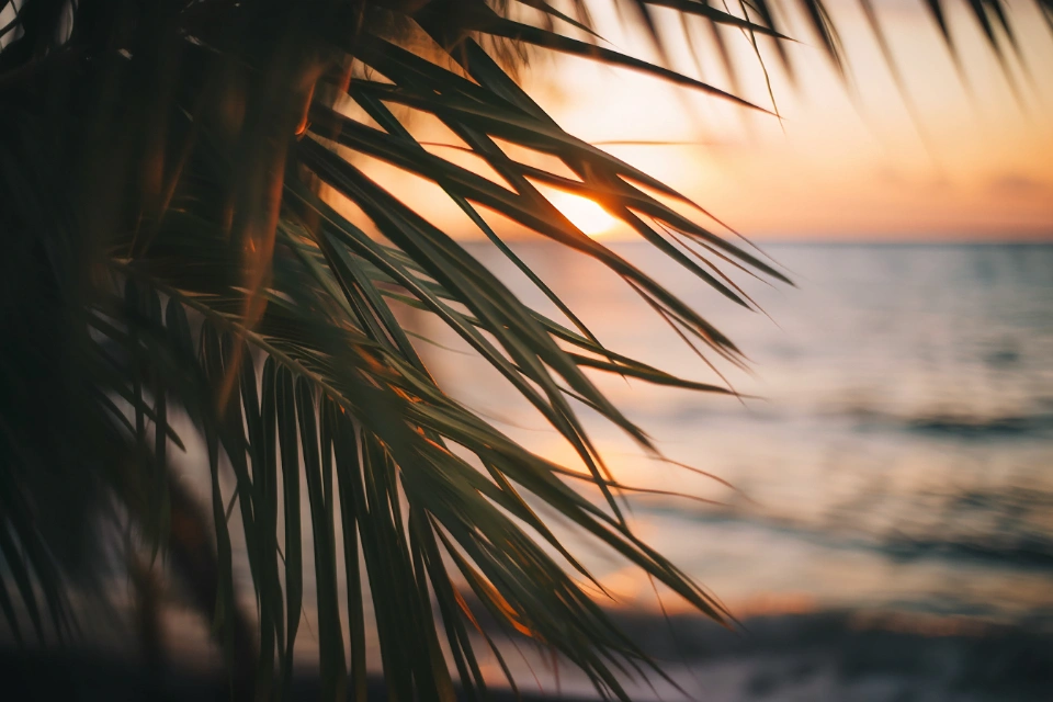 StockSnap. Travel ocean Free Stock Image