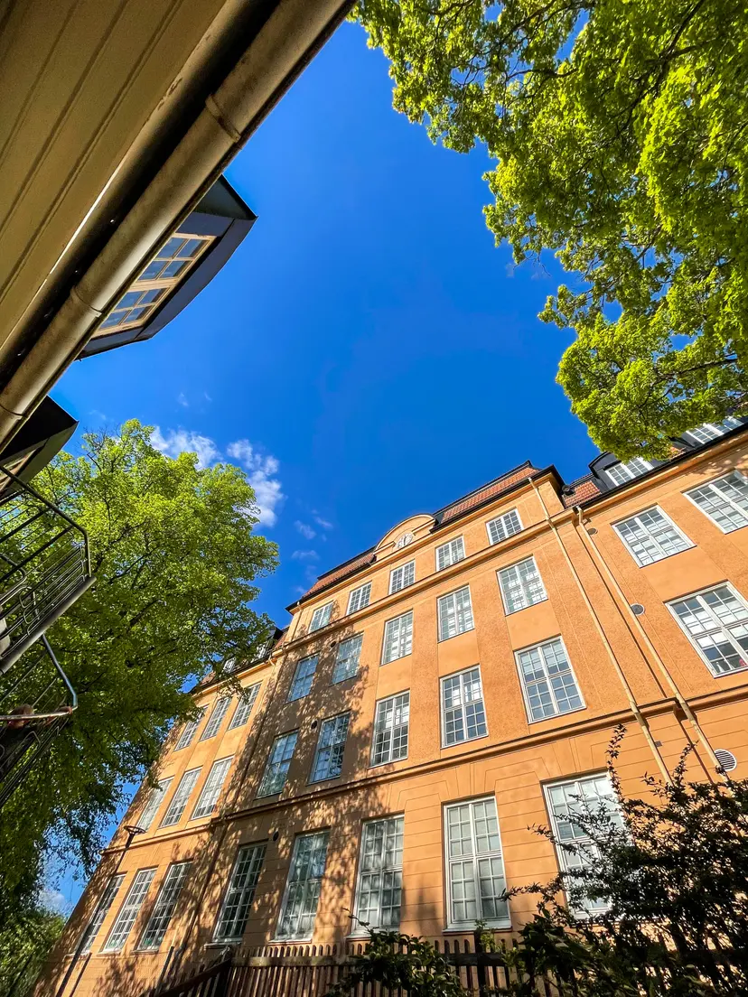 Cupcake. Summer Day in Sweden