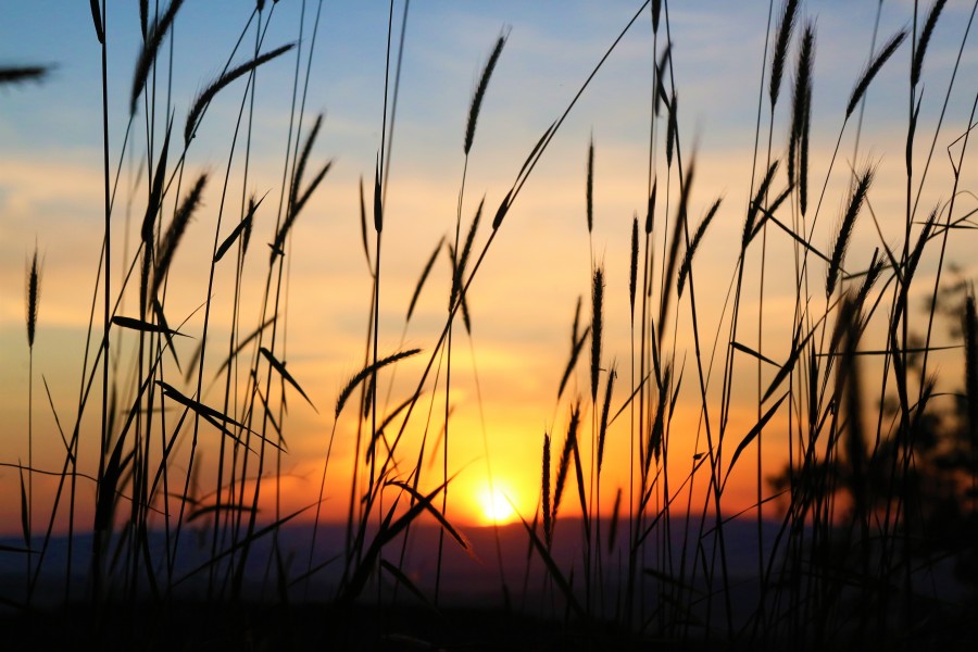 Skitterphoto. sunset