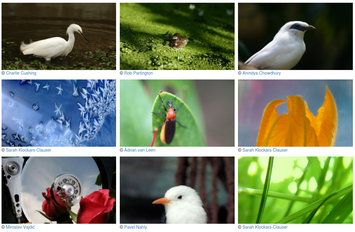 openphoto.net. Фотографии категории Природа